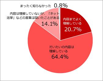 Comprehension of the contents of the net election campaign