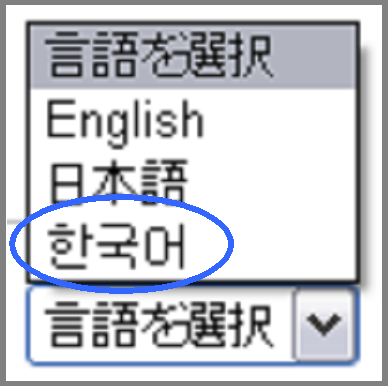 Korean language service By selecting