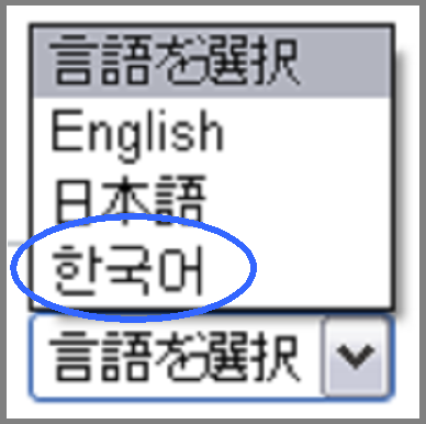Korean language service By selecting Korean language service By selecting